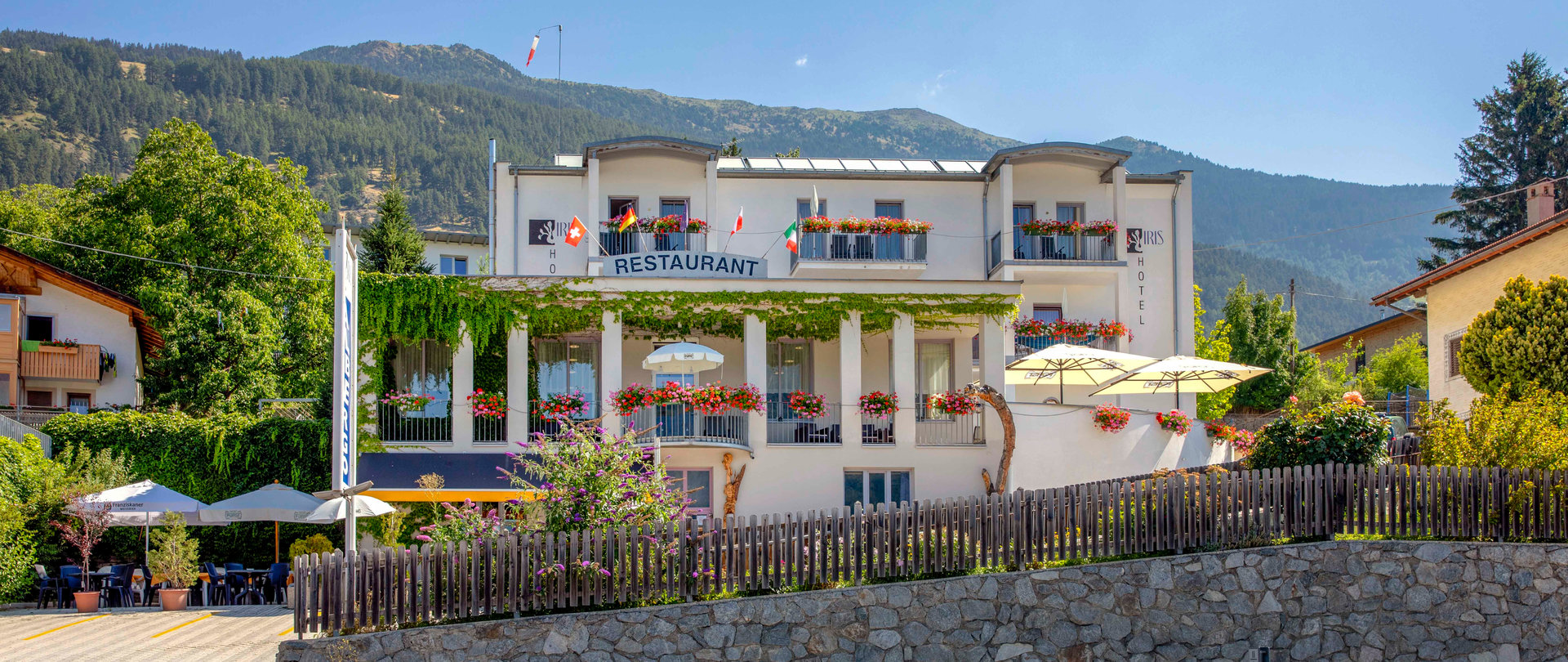 © 2025 Hotel Iris