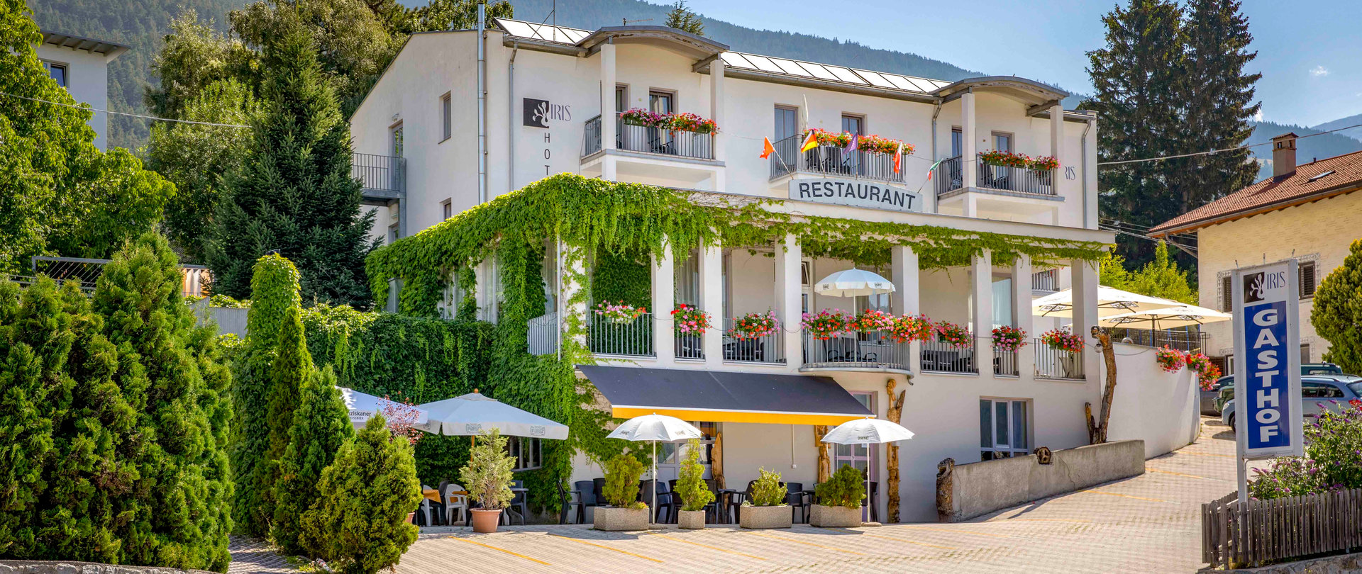 © 2025 Hotel Iris