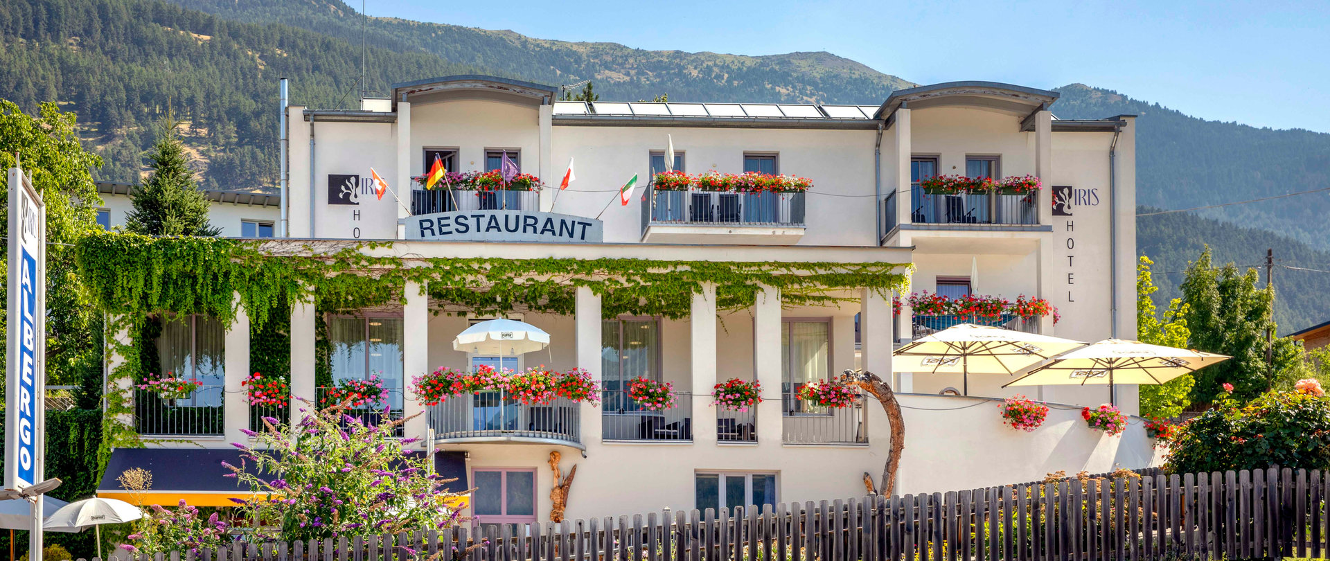 © 2025 Hotel Iris